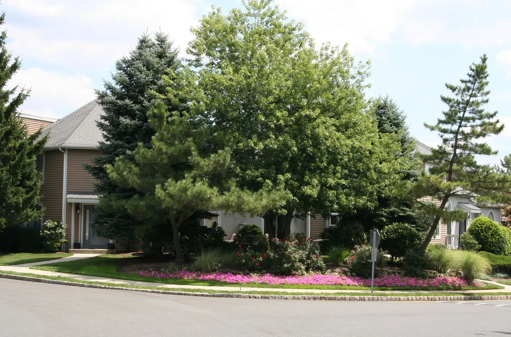 A suburban house with a sloped roof is surrounded by various trees and a garden bed of pink flowers on a clear day. A paved road curves in the foreground.
