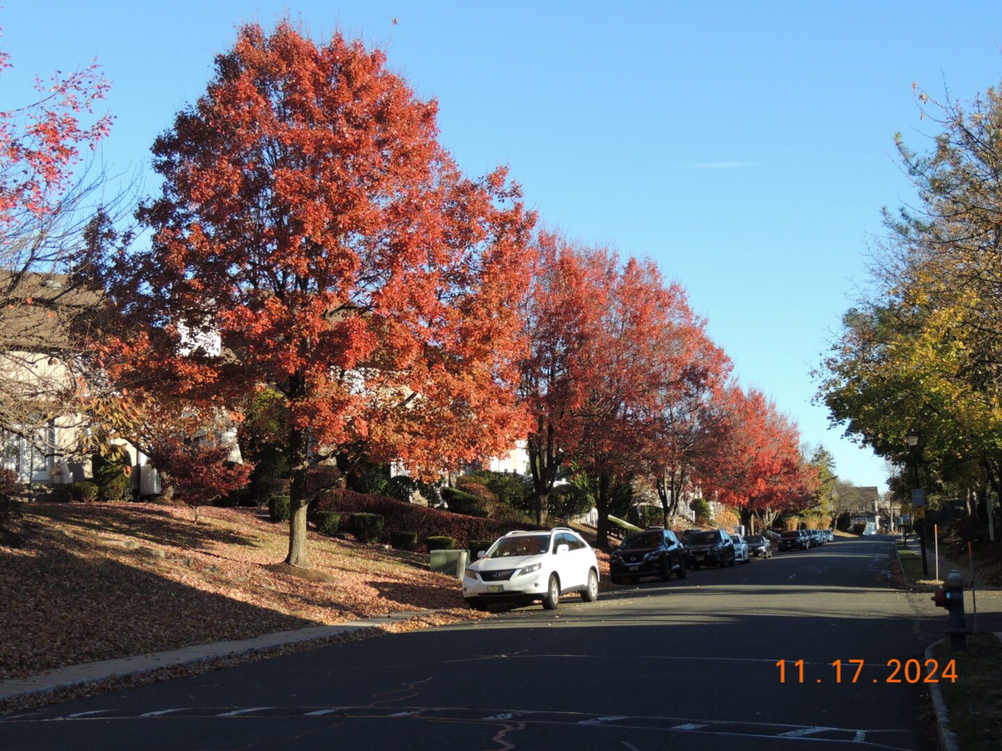 A suburban street lined with trees displaying autumn foliage in shades of red and orange. Cars are parked along the curb, and a date stamp reads "11.17.2024.