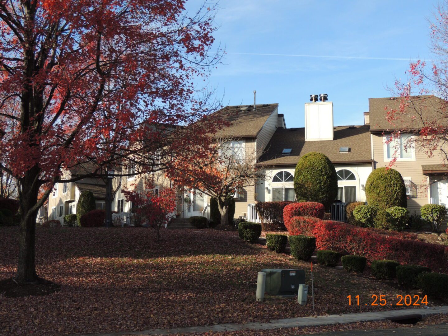 Residential buildings with brown roofs and large windows. Trees with red leaves are in the foreground. Date stamp in the lower right corner reads November 25, 2024.