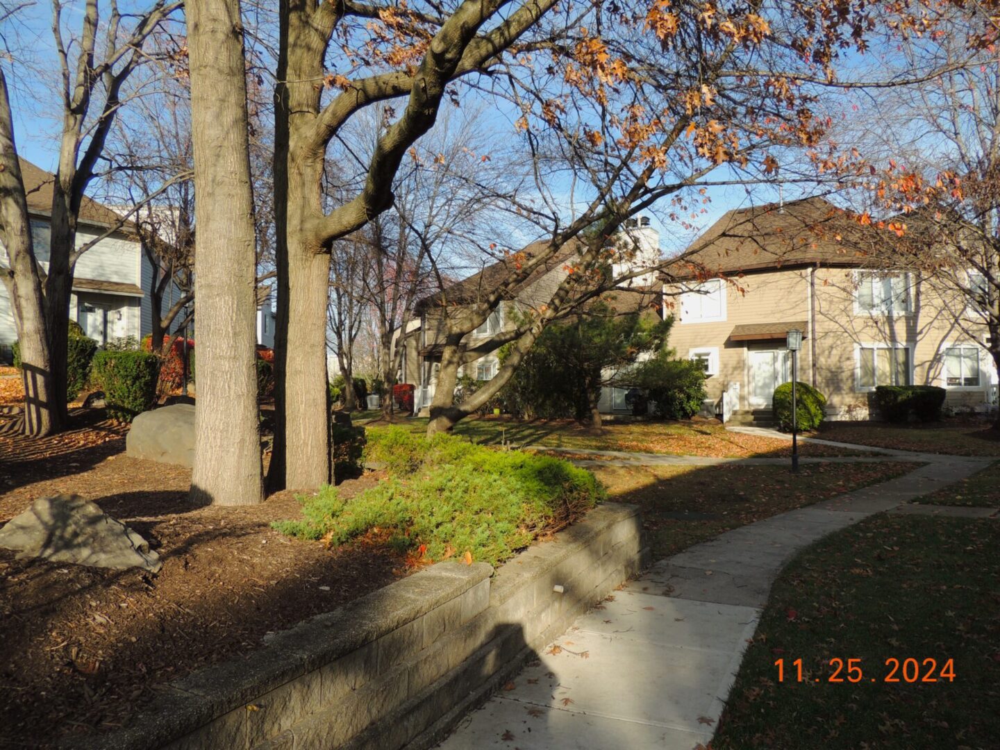 A suburban neighborhood path bordered by trees and shrubs, with houses in the background on a sunny autumn day. Date on image: November 25, 2024.