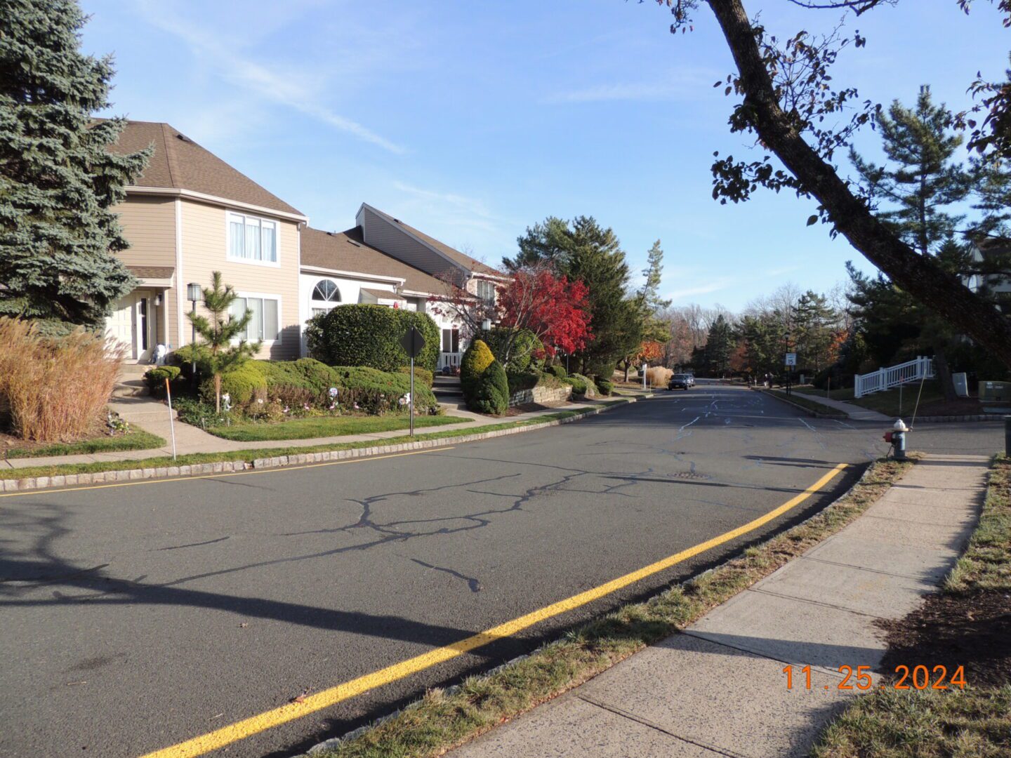 Suburban street with houses, trees, and a clear sky. Cracks run along the asphalt road. Dated November 25, 2024, in the corner.