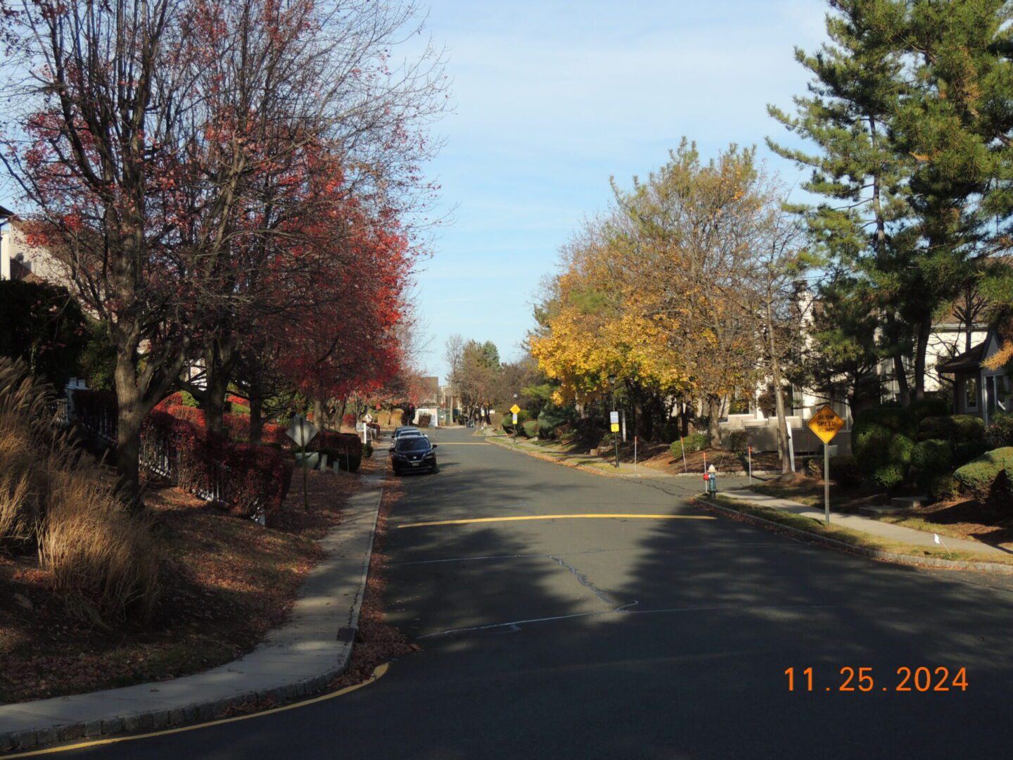 Suburban street with autumn leaves on trees and a car parked on the side. The sky is clear, and the date stamp reads 11.25.2024.