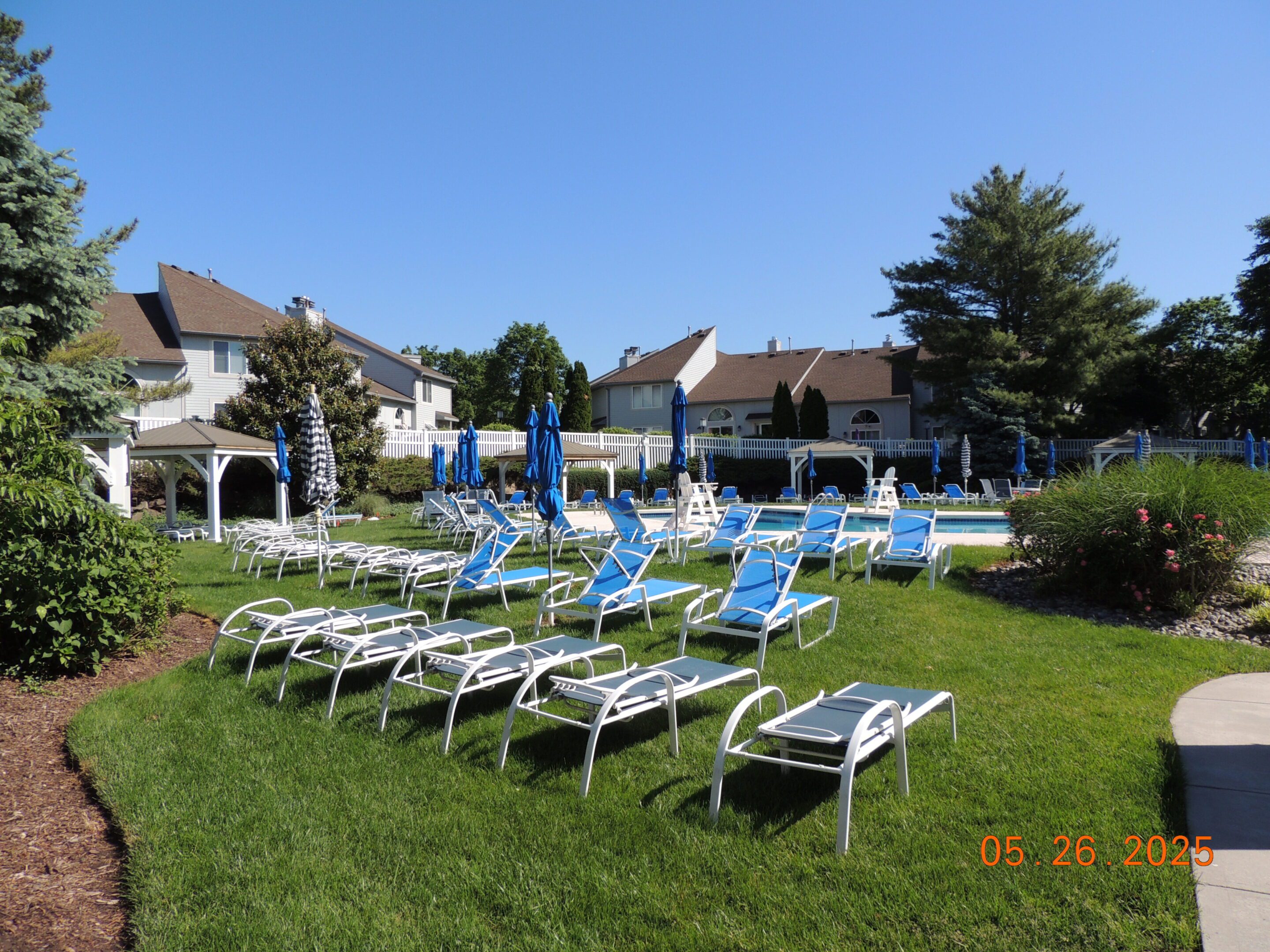 A grassy poolside area with blue and white lounge chairs, umbrellas, and a small pool, surrounded by suburban houses under a clear sky.