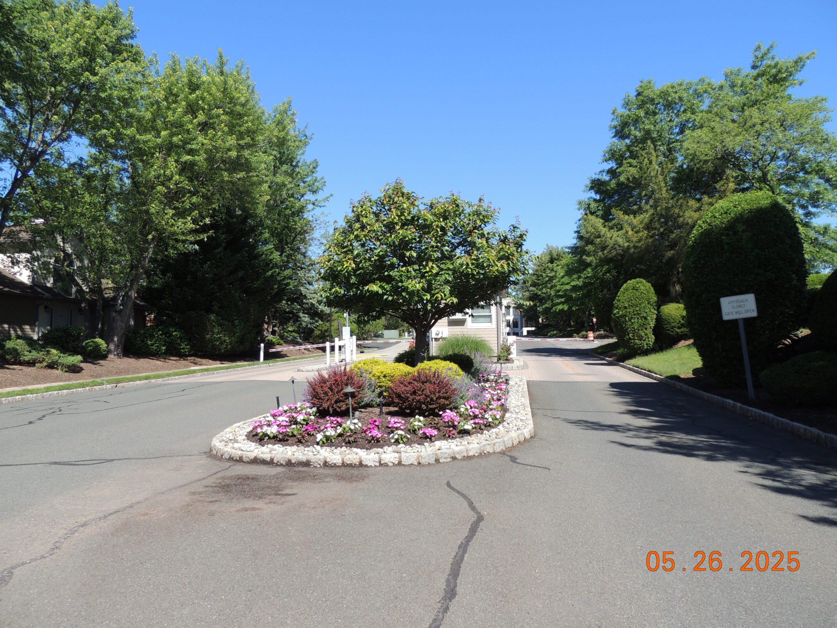 A traffic island with flowers and shrubs in the middle of a residential street under a clear blue sky; date stamp reads 05.26.2025.